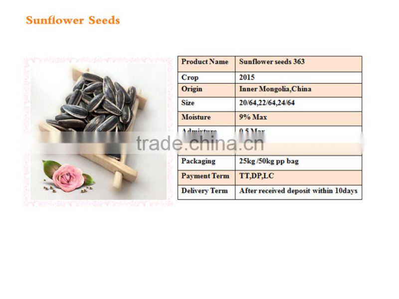 high quality sunflower seeds 363 from Inner Mongolia