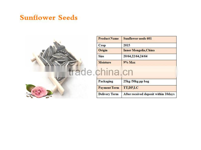 sunflower seeds 601from Inner Mongolia