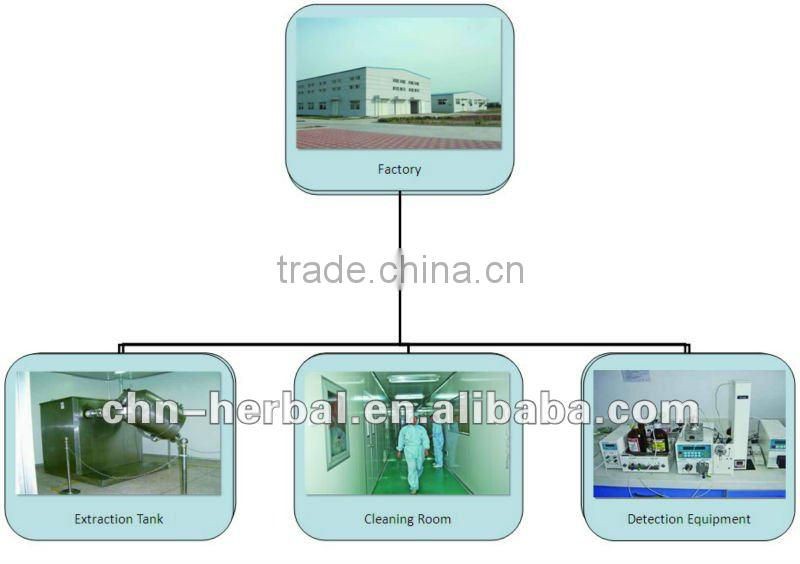 Chinese Pure Jasmine Tea