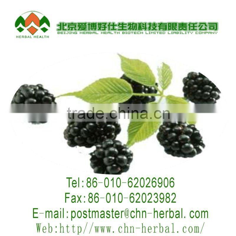 Organic Acai Berry Powder