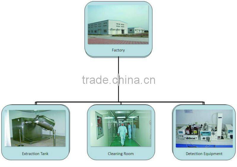 Analgesia high quality natural plant extract Beta sitosterol Nettle Extract