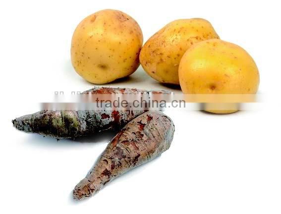 9 Potato and Cassava Starch Processing Equipment