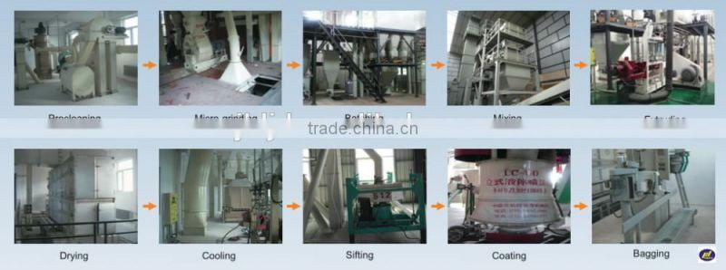 8 Feed Extruding Processing Equipment
