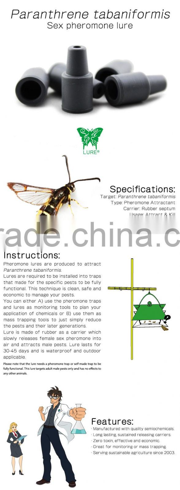 Pheromone lures of Paranthrene tabaniformis, the Dusky Clearwing Moth Sex Pheromone Attractant