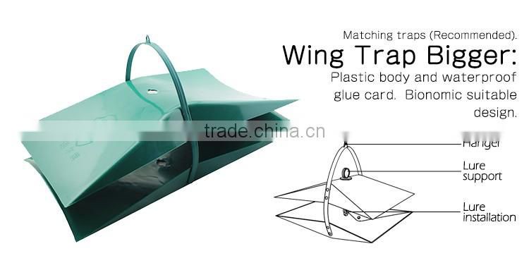 Pheromone lures of Paranthrene tabaniformis, the Dusky Clearwing Moth Sex Pheromone Attractant