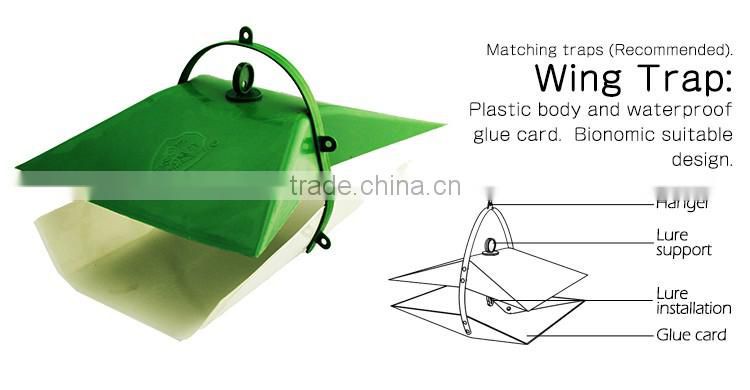 Pheromone Lure for Chilo infuscatellus (Yellow Top Borer), Pheromone Attractant & Pheromone Trap for Chilo infuscatellus