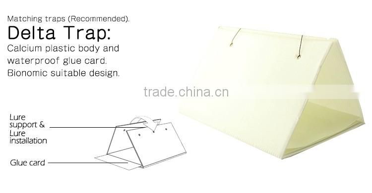 Pheromone Lure for Chilo infuscatellus (Yellow Top Borer), Pheromone Attractant & Pheromone Trap for Chilo infuscatellus