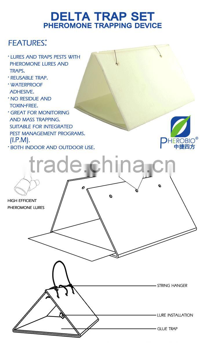 Pheromone lures of Pectinophora gossypiella with trap set