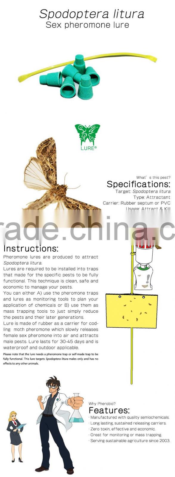 Pheromone Lure for Spodoptera litura (Oriental Leafworm Moth), Pheromone Attractant