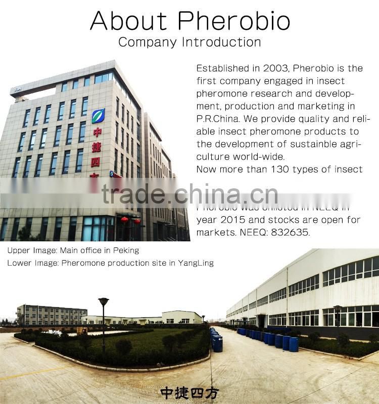 Pheromone Lure for Chilo infuscatellus (Yellow Top Borer), Pheromone Attractant & Pheromone Trap for Chilo infuscatellus