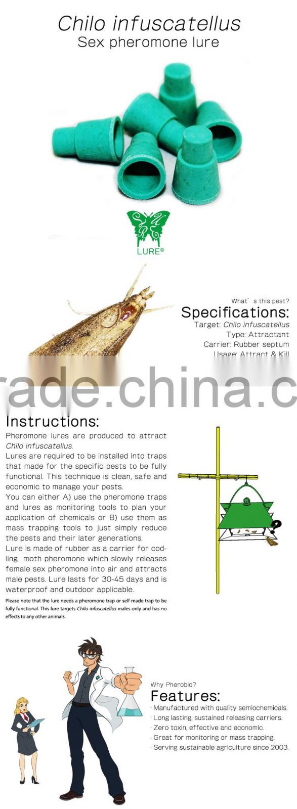 Pheromone Lure for Chilo infuscatellus (Yellow Top Borer), Pheromone Attractant & Pheromone Trap for Chilo infuscatellus