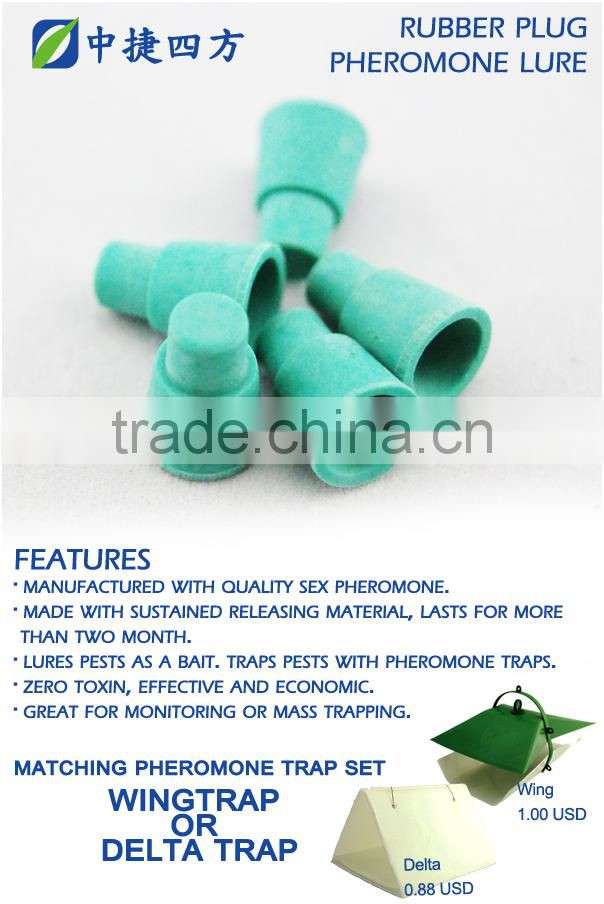 Pheromone lures of Pectinophora gossypiella with trap set