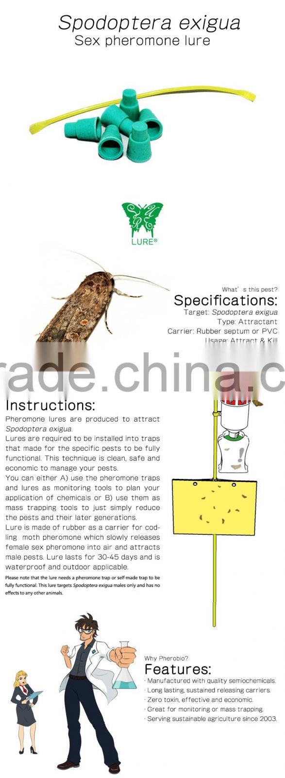 Pheromone Lure for Spodoptera exigua (Beet Armyworm), Sex Pheromone Bait & Pheromone Trap for Spodoptera exigua