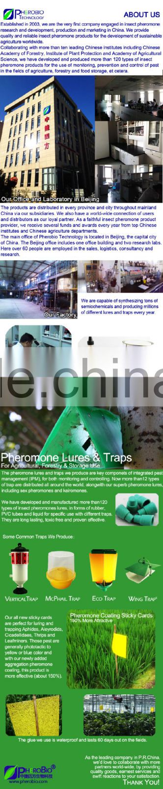 Pheromone lures of Semanotus bifasciatus with trap set