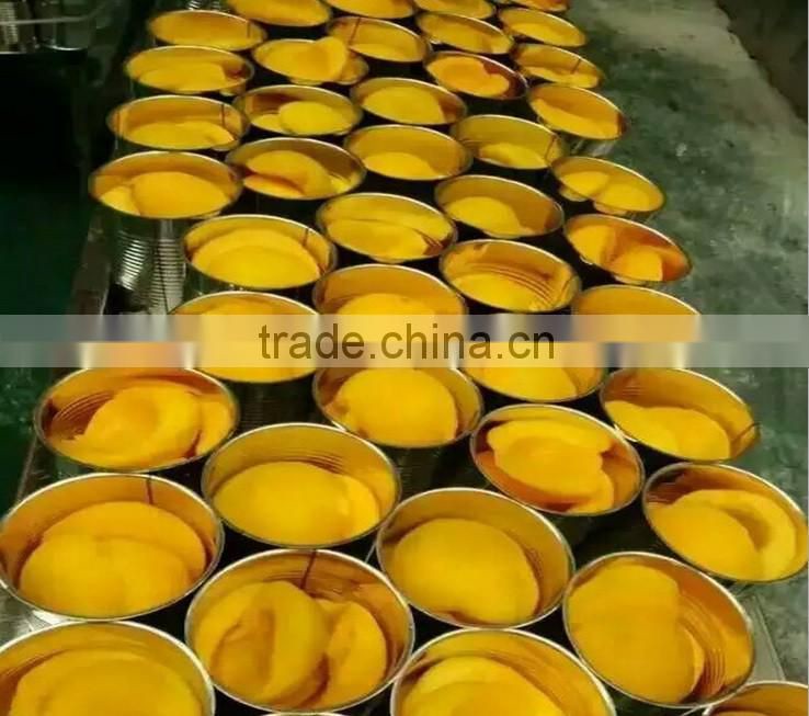 850g Canned yellow peach havles in light syrup