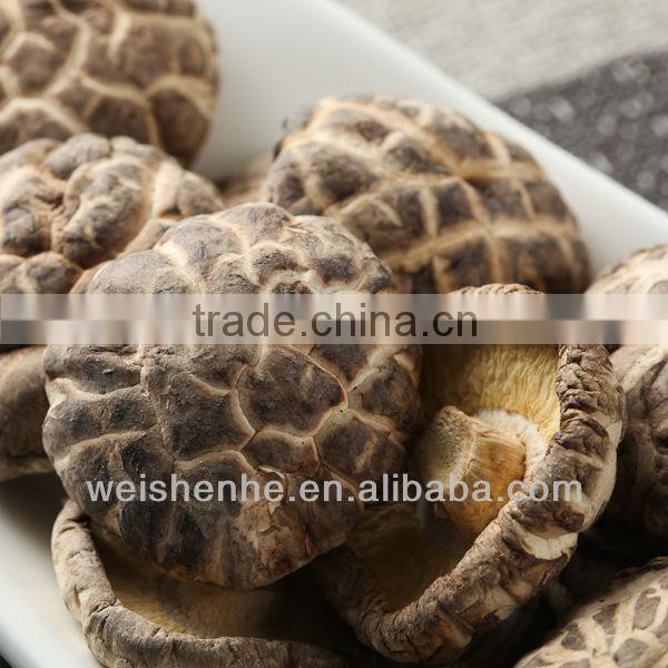 DRIED SHIITAKE-TEA FLOWER MUSHROOM