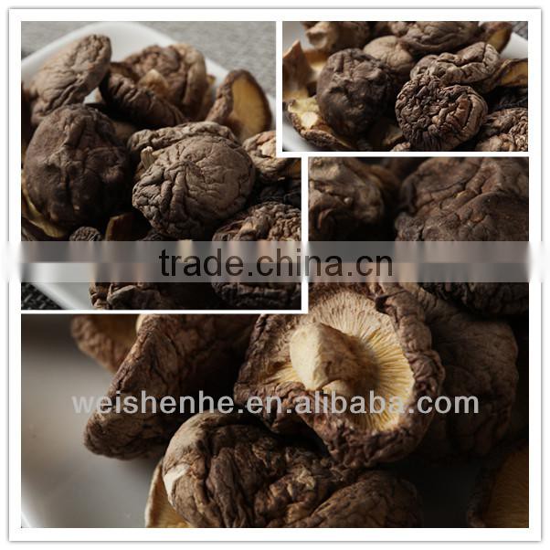 Dried Flower Mushrooms