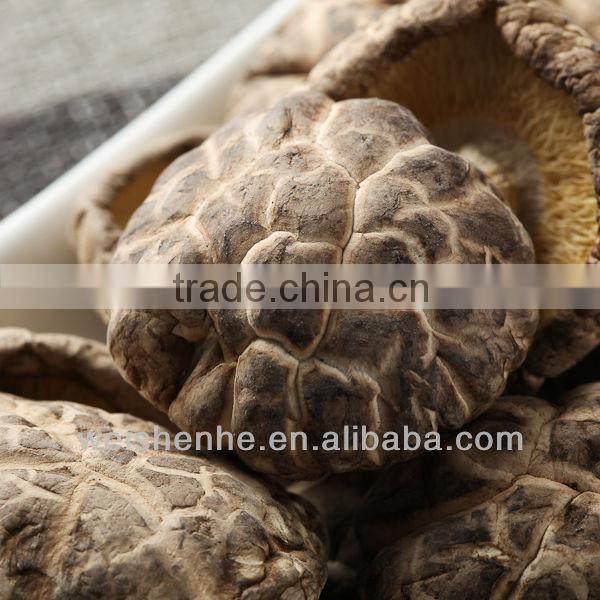 DRIED SHIITAKE-TEA FLOWER MUSHROOM