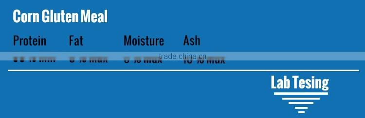 Good Corn Gluten Meal Price With Good Quality