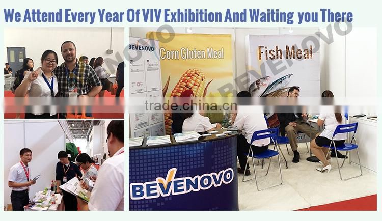 Competitive Corn Gluten Price 60% 65% Protein