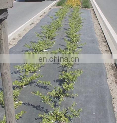 UV treated virgin PP weed control mat