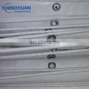 Greenhouse plastic cover film uv resistant transparent cherry tree tarpaulin made in China