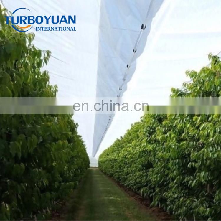 UV resistant anti acid rain plastic clear transparent tarps to cover cherry orchards