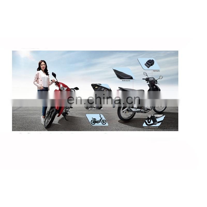 New model type electric motorcycle for adults