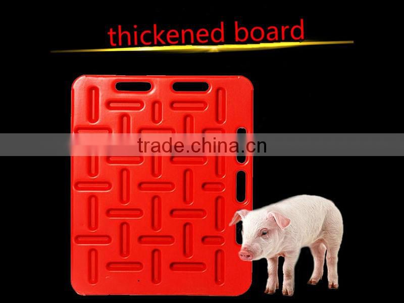 pig board