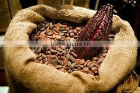 Indonesia Natural Cocoa powder