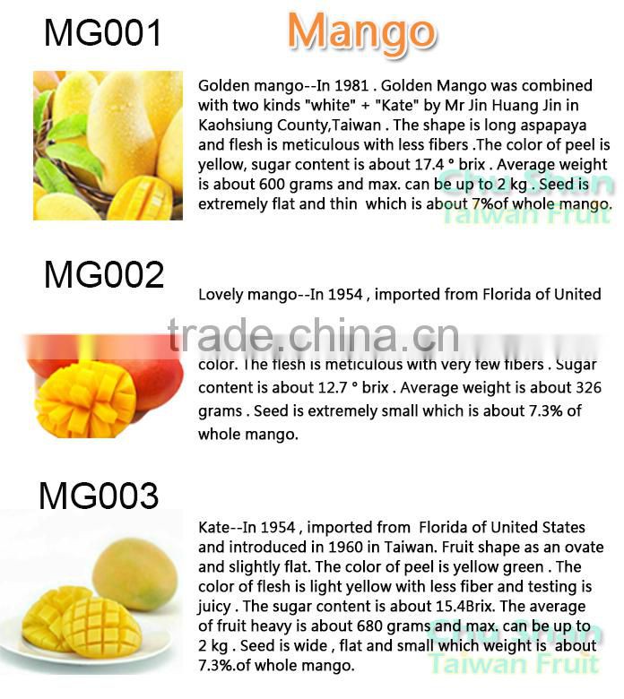 Best Quality Fresh Mango