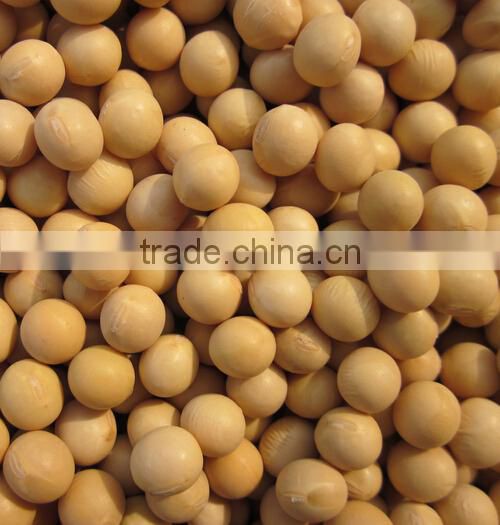 Yellow Soybeans