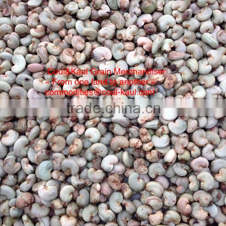 Very good Burkina Faso raw cashew nuts