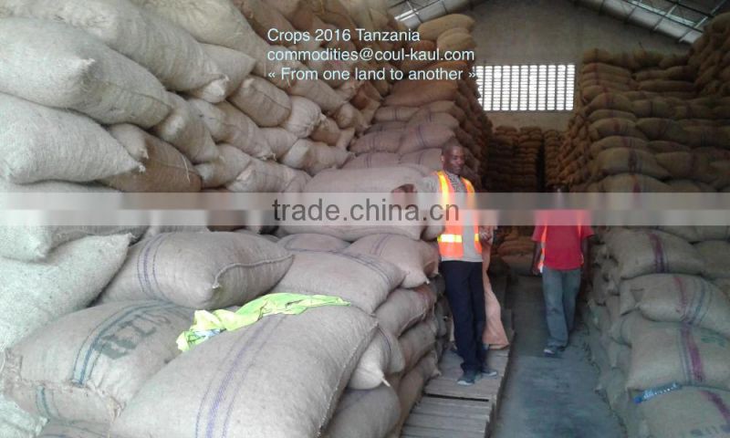 Very good Tanzania raw cashew nuts ( Tanzania contact: 255 682 294 635)