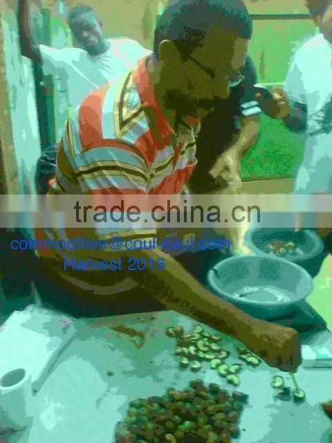Very good Burkina Faso raw cashew nuts