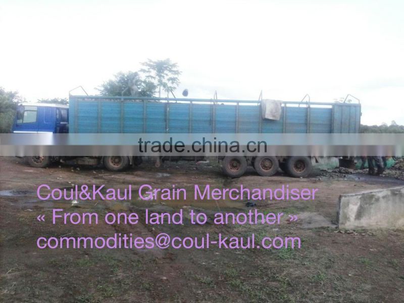 ivory coast high quality natural rubber latex 60% drc