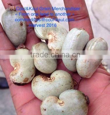 Very good Burkina Faso raw cashew nuts