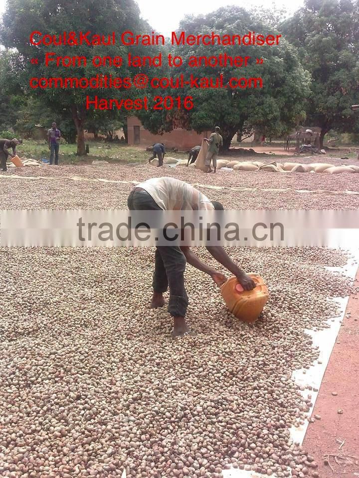 Very good Burkina Faso raw cashew nuts