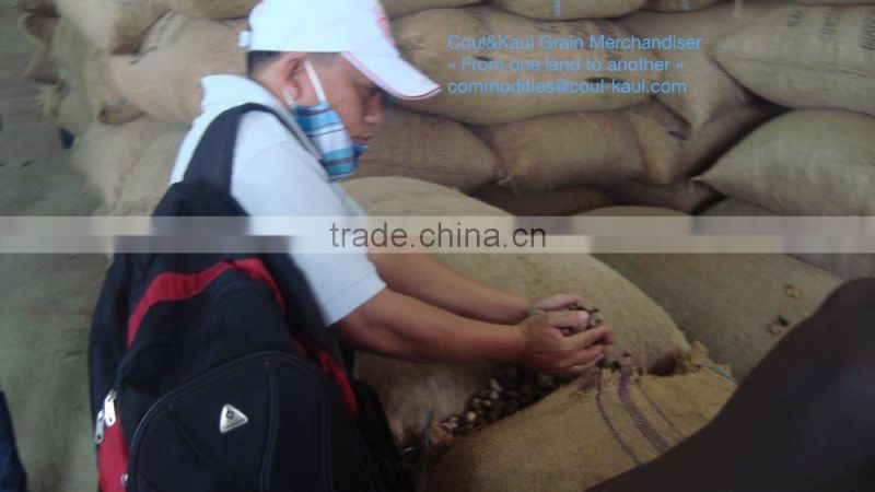 Very good Ivory Coast raw cashew nuts