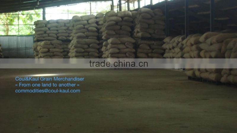 Very good Ivory Coast raw cashew nuts