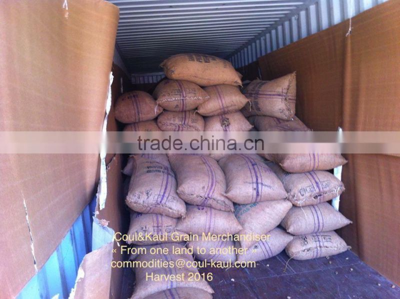 Very good Burkina Faso raw cashew nuts