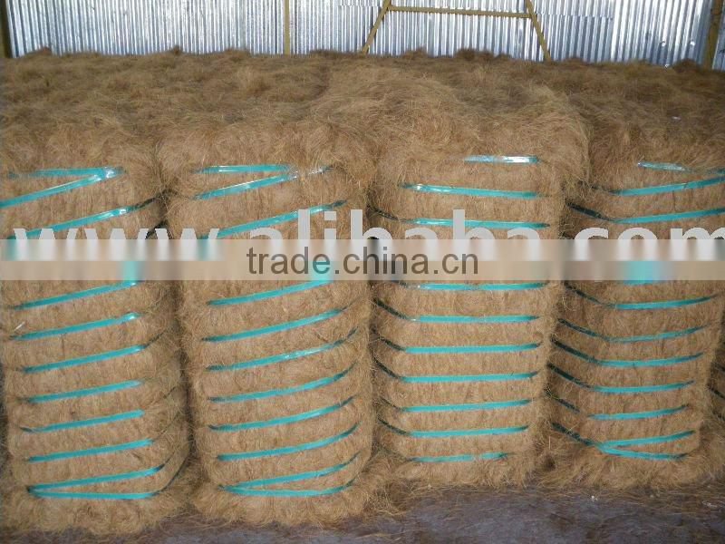 Coconut Coir Fiber White(Golden Brown) and Brown