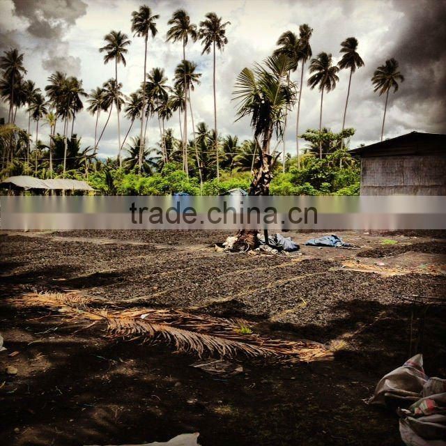 Coconut Shell Charcoal