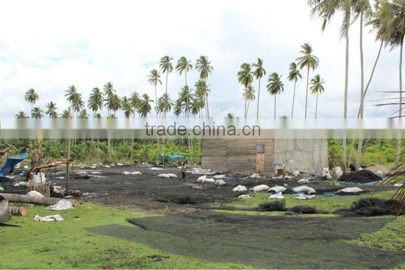 Coconut Shell Charcoal