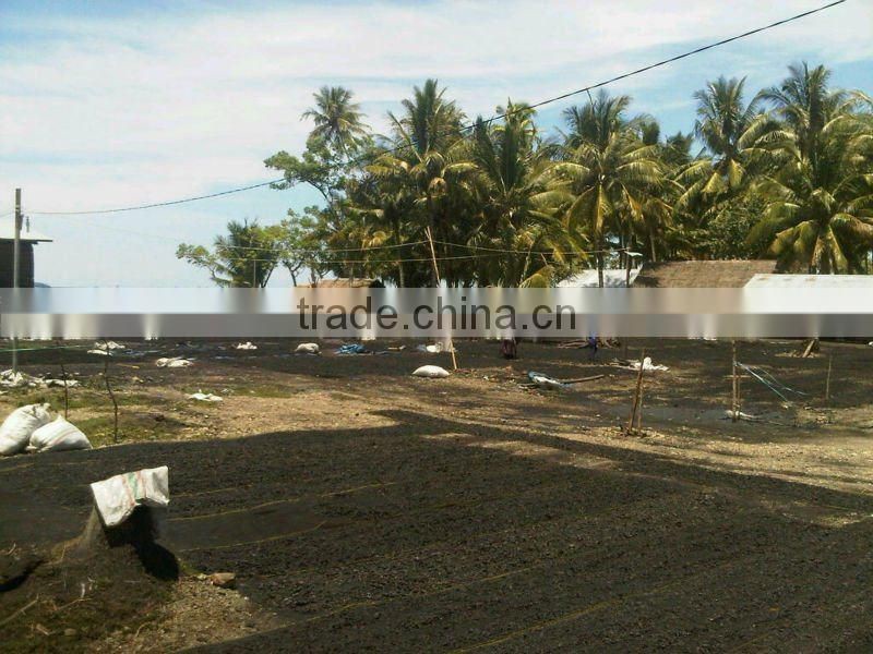 Coconut Shell Charcoal