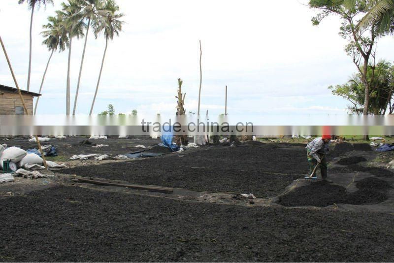 Coconut Shell Charcoal