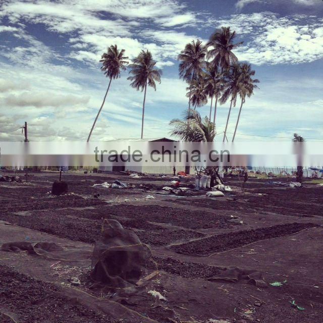 Coconut Shell Charcoal