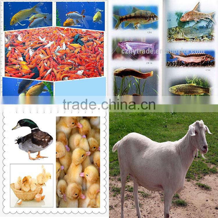 100% organic Feed Additive , soyabean extraction meal