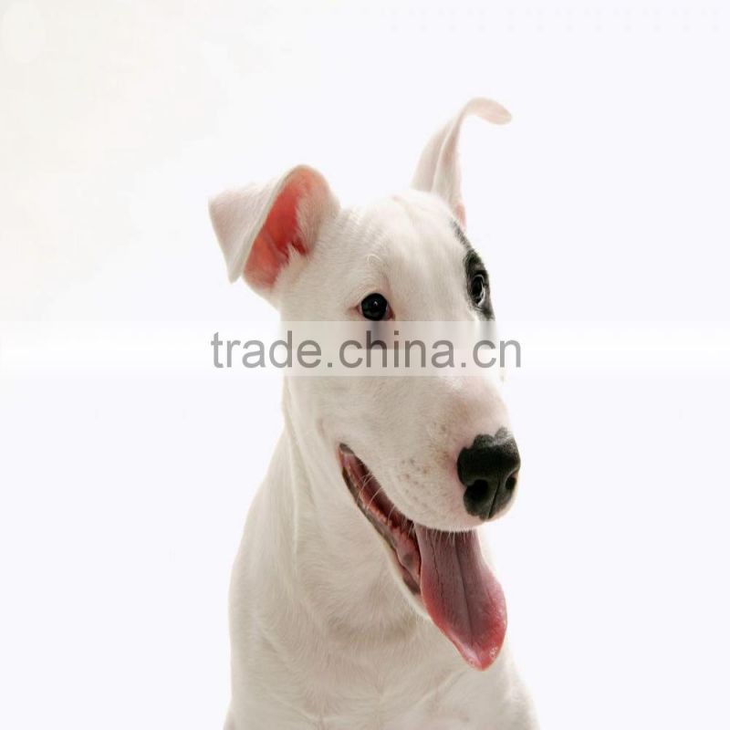 High activity fodder yeast, Inhibit bacteria, prevent disease, enhance immunity, promote the growth