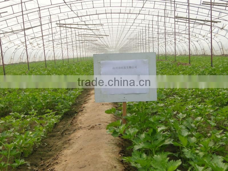 Microecologics for agriculture planting,agricultural microbial inoculants